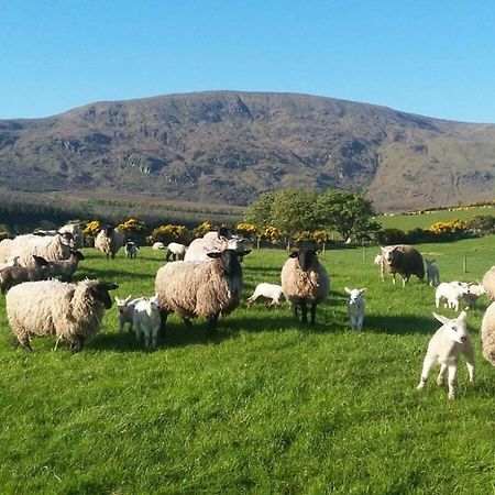 Avondale Villa Sligo Esterno foto